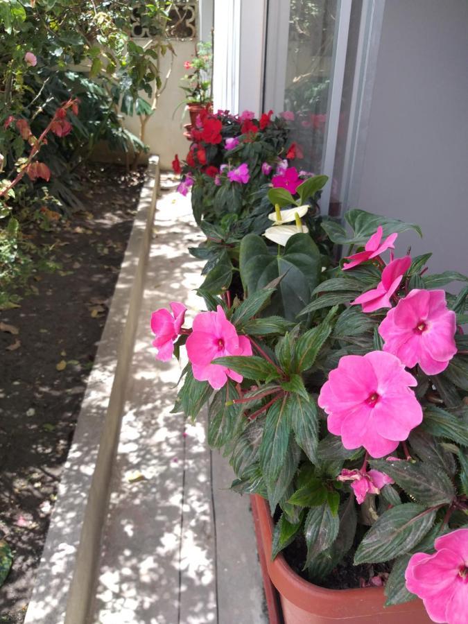 Amada A Place To Relax And Take A Rest * Loja