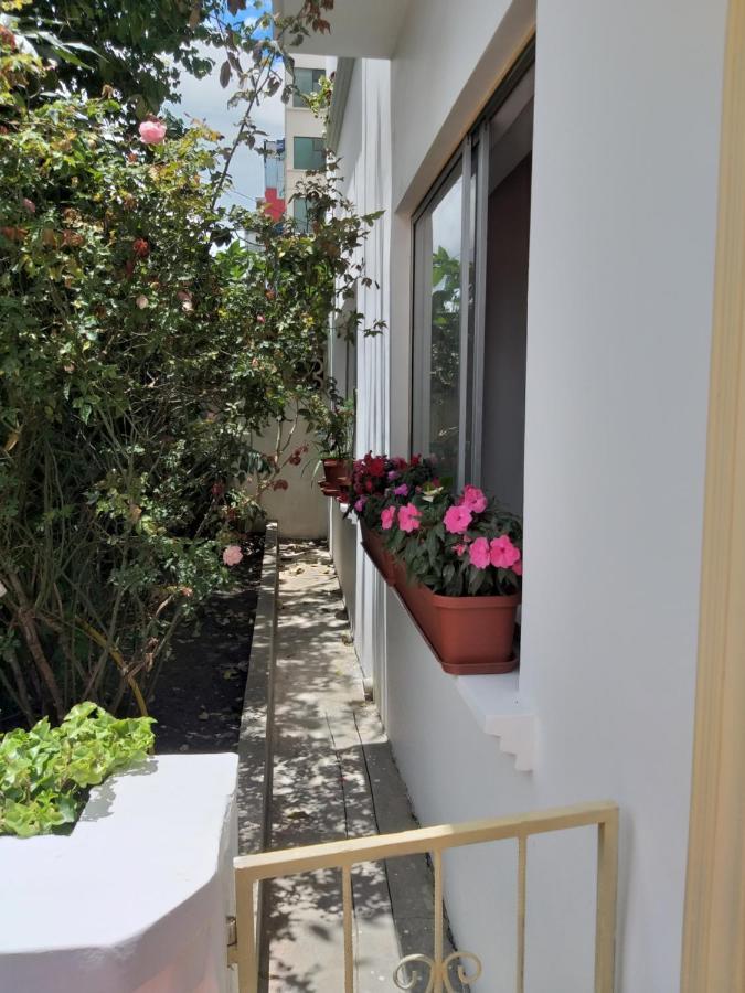 Amada A Place To Relax And Take A Rest Apartment Loja